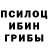 Псилоцибиновые грибы MAGIC MUSHROOMS Erzat Sultanov