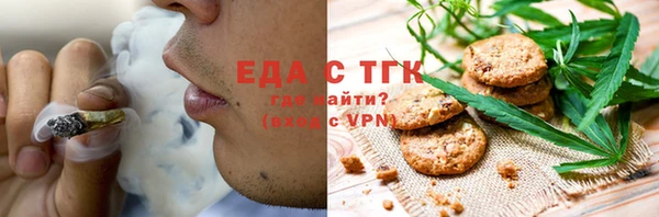 гидра Верхний Тагил