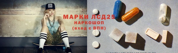 гидра Верхний Тагил