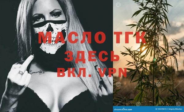 гидра Верхний Тагил