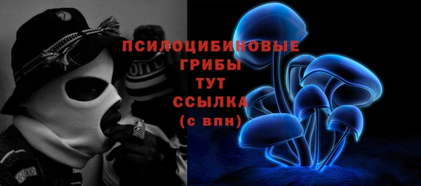 гидра Верхний Тагил