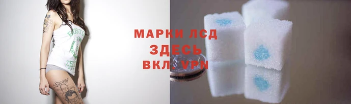 гидра Верхний Тагил
