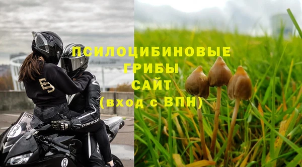 гидра Верхний Тагил