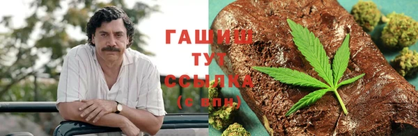 гидра Верхний Тагил